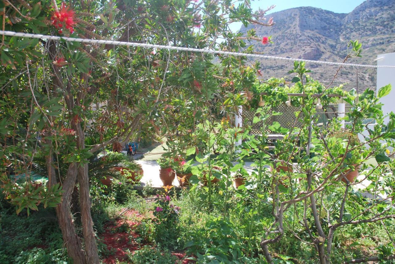 Afroditi Hotel Kamares  Exterior photo
